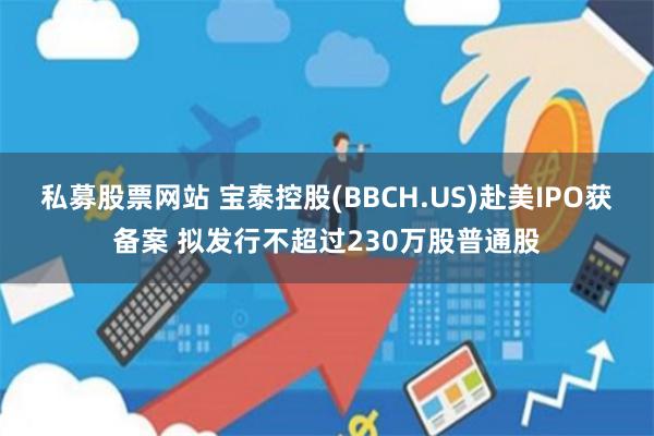 私募股票网站 宝泰控股(BBCH.US)赴美IPO获备案 拟发行不超过230万股普通股