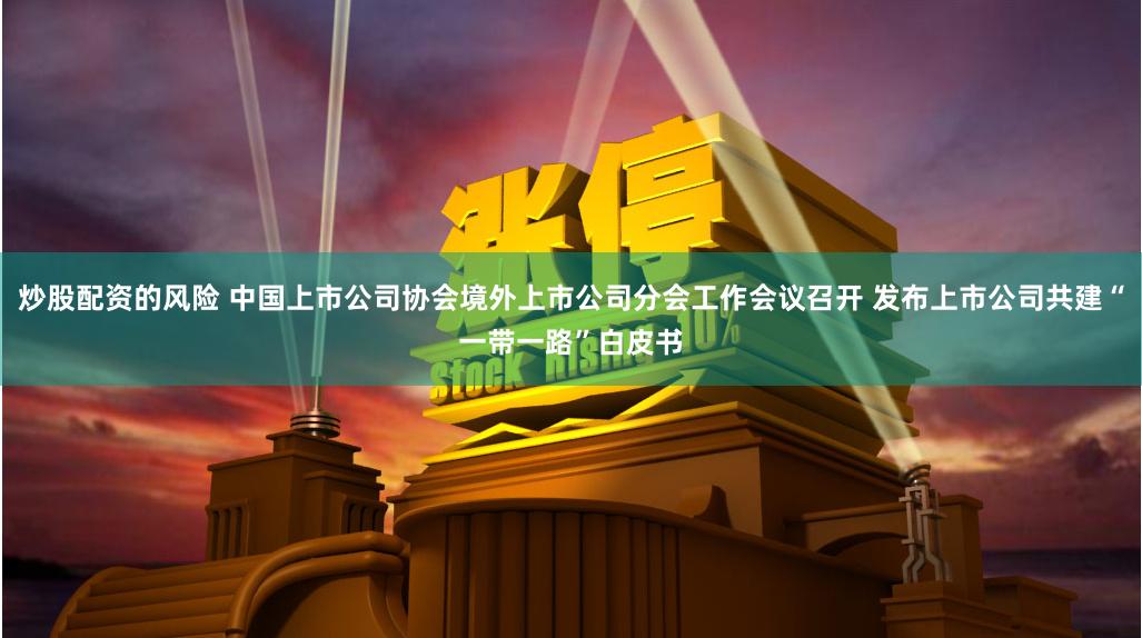 炒股配资的风险 中国上市公司协会境外上市公司分会工作会议召开 发布上市公司共建“一带一路”白皮书