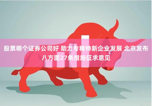 股票哪个证券公司好 助力专精特新企业发展 北京发布八方面27条措施征求意见