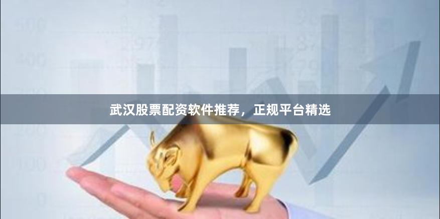 武汉股票配资软件推荐，正规平台精选