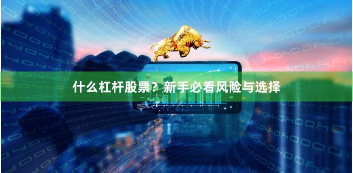 什么杠杆股票？新手必看风险与选择